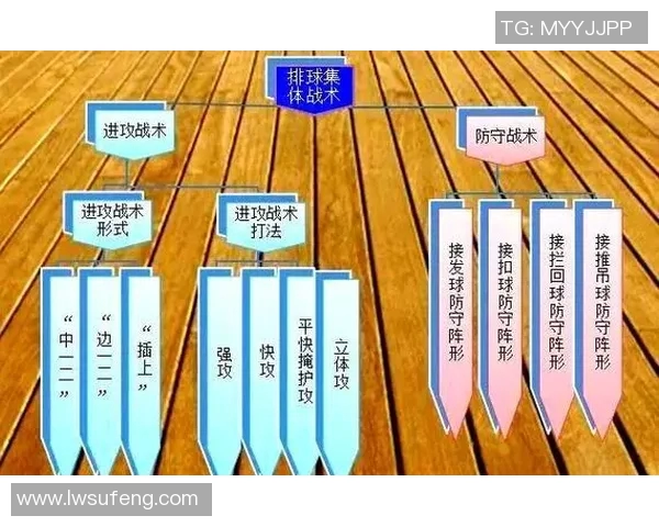 广州排球队的控制打法深度分析与战术解析